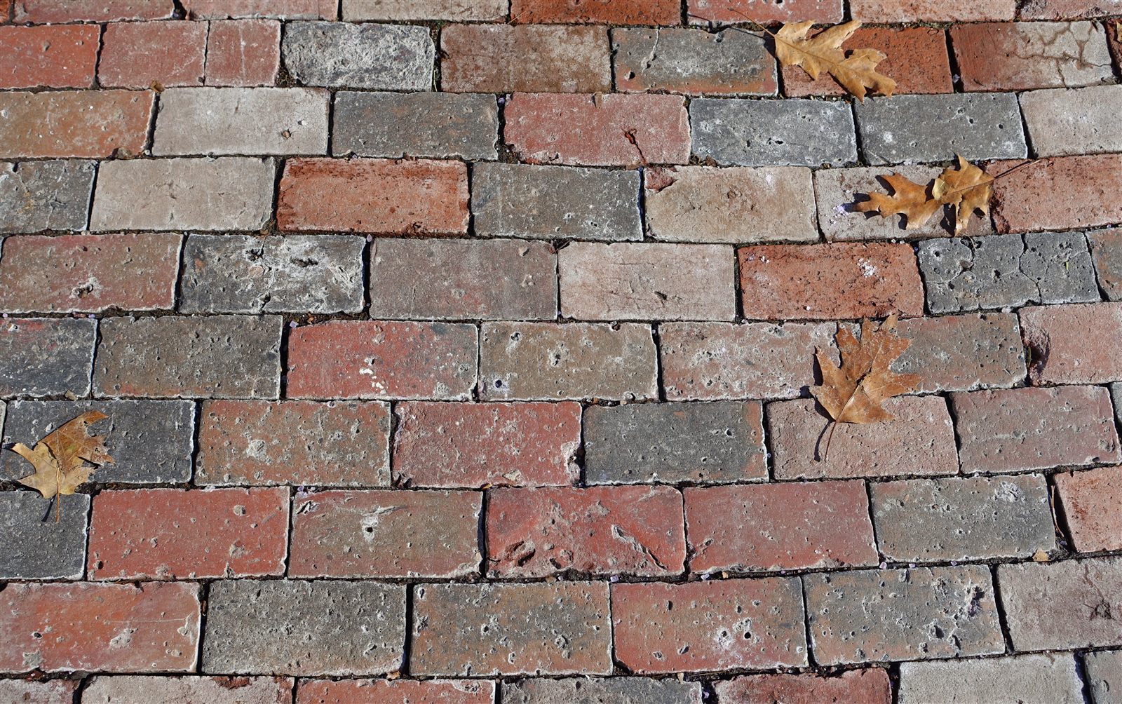 Historic red brick sidewalk in a Washington DC neighborhood