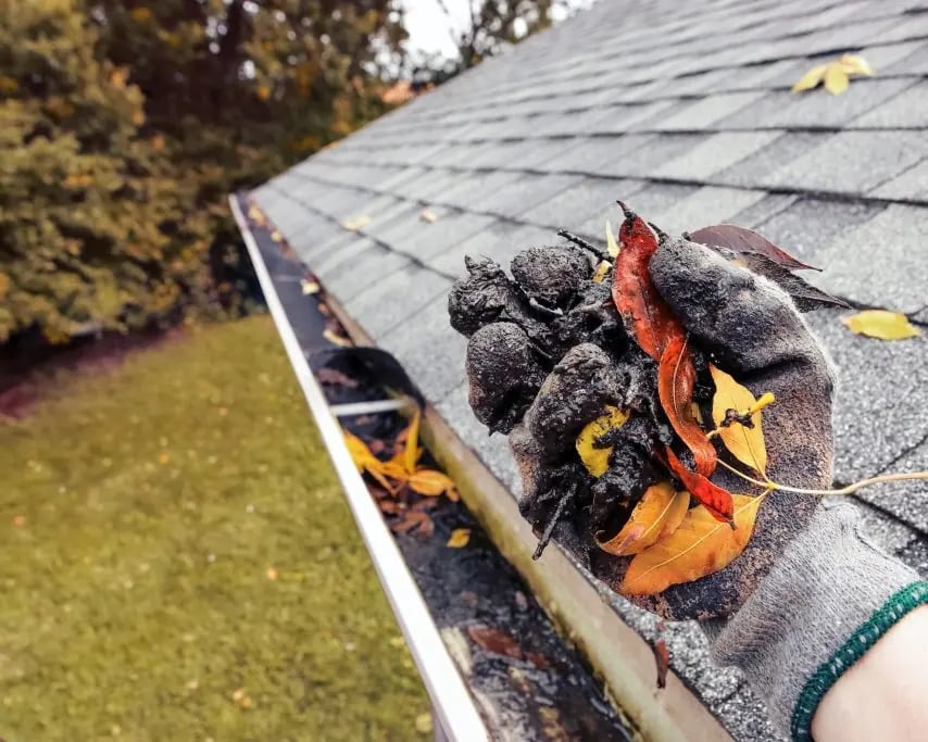 Gutter cleaning in Washington DC
