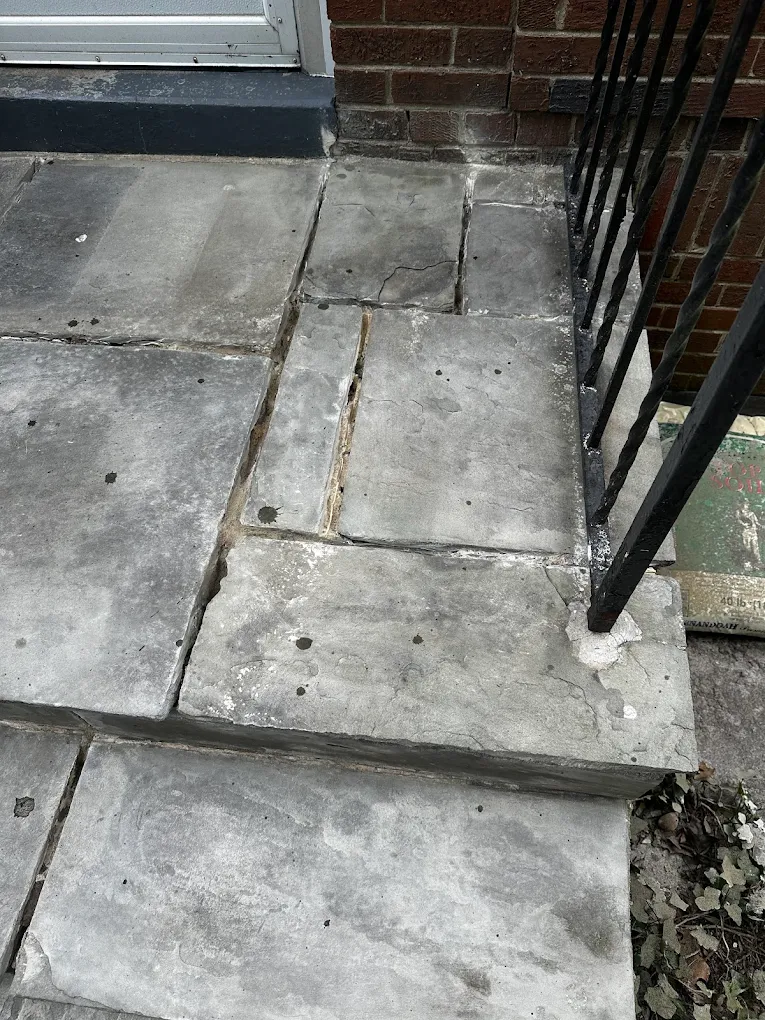 Flagstone steps with failed mortar joints before repair in Washington DC